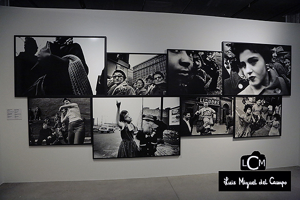 Exposición de William Klein por fotógrafo LMC 004