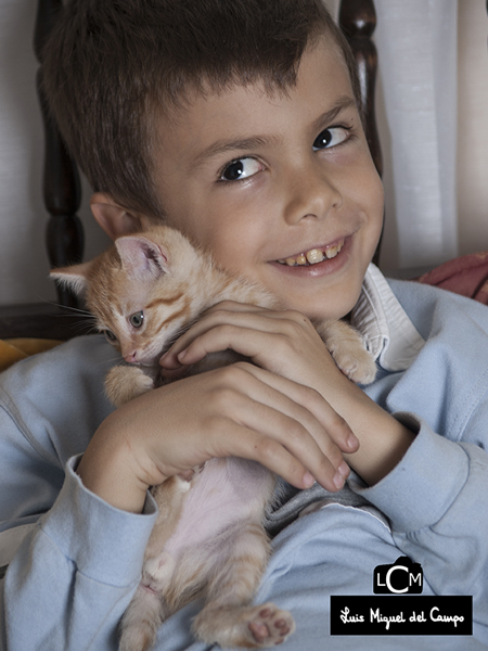 Fotografía de mascotas en Madrid