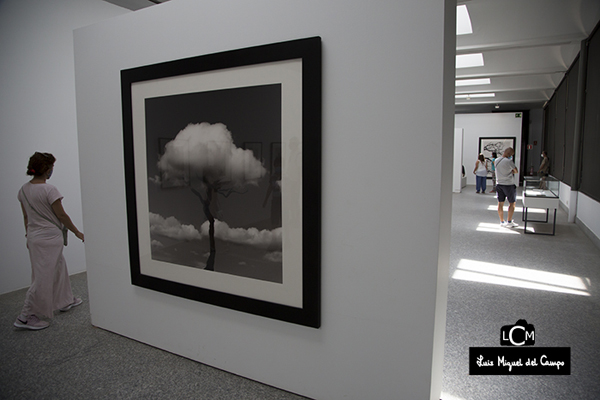 Entrada a la exposición de Chema Madoz 