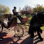 Fotógrafo barato de bodas en Madrid