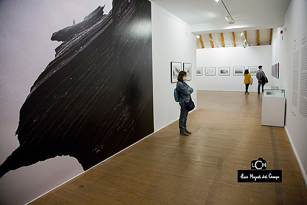 Entrada a la exposición de Adriana Lestido