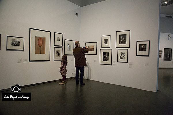 Vista de la exposición en Centrocentro