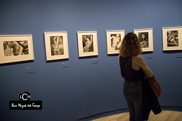 Desnudos de la exposición