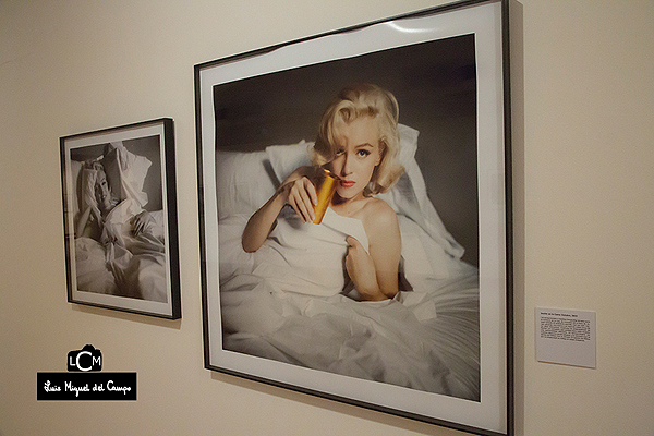 Fotografías de Marilyn Monroe