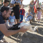 Liberación de cigüeñas en Alcalá de Henares